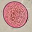 This plant belongs to the grass family. All pollen grains in this family are similar to the Poaceae (grass) grain pictured here. Herb. MIN